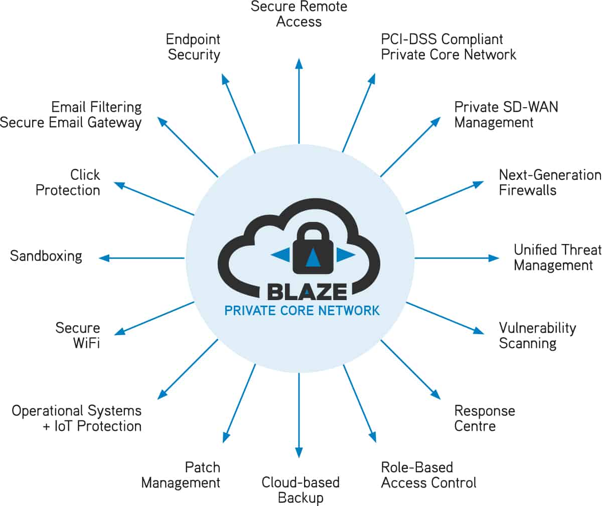 Blaze offers a comprehensive rance of cybersecurity services
